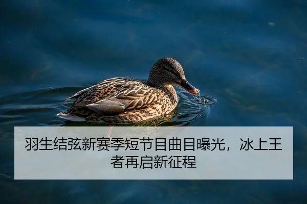 羽生结弦新赛季短节目曲目曝光，冰上王者再启新征程