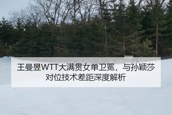 wang-man-yu-da-man-guan-nv-dan-wei-mian-yu-sun-ying-sha-dui-wei-ji-shu-cha-ju-shen-du-jie-xi-2-944.jpg