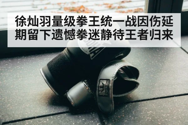 徐灿羽量级拳王统一战因伤延期留下遗憾拳迷静待王者归来