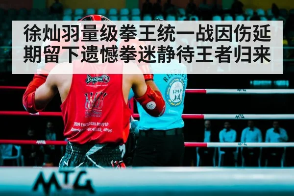 boxing ring fight