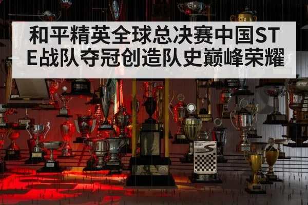 和平精英全球总决赛中国STE战队夺冠创造队史巅峰荣耀