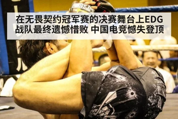 在无畏契约冠军赛的决赛舞台上EDG战队最终遗憾惜败 中国电竞憾失登顶