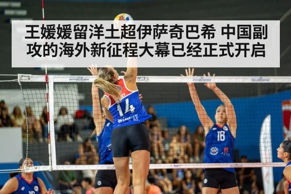 volleyball match